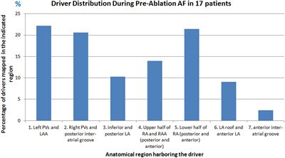 Mechanisms of persistent atrial fibrillation and recurrences within 12 months post-ablation: Non-invasive mapping with electrocardiographic imaging